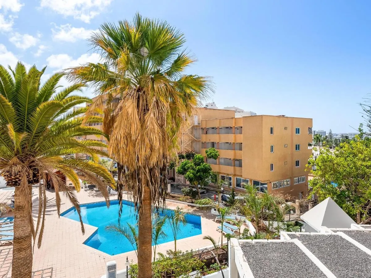 Apartment 302 Modern, Light, Comfortable Studio With Swimming Pool Playa de las Americas  Spain